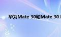 华为Mate 30和Mate 30 Pro将于9月19日首次亮相