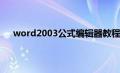 word2003公式编辑器教程（word2003公式编辑器）