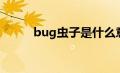 bug虫子是什么意思（bug虫子）